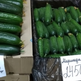 «Огурцы дороже мяса»: замакима Павлодарской области прошелся по магазинам