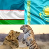 "Узбекский лев идет на смену казахскому тигру". Кто станет лидером Центральной Азии?