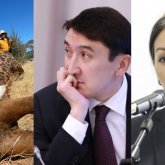 Дилетантские суждения: общественники возмутились реакцией минэкологии на охоту казахстанцев в Африке