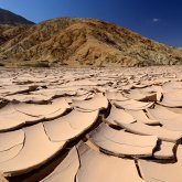 Через 40 лет казахская степь превратится в пустыню - ученые