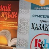 Александра Мыскина: Лучший ответ провокаторам – изучение казахского языка
