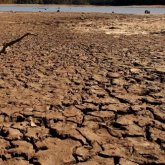 Засуха ожидается в нескольких регионах Казахстана в августе