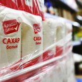 Почти 500 млрд тенге направят на возрождение сахарной отрасли Казахстана