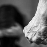 Изнасиловал и сжег ребенка: педофилу дали пожизненный срок в Жетысуской области
