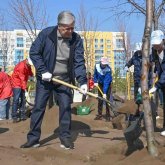 Президент обратился к акимам