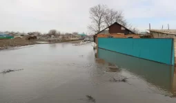 Почти 120 тысяч казахстанцев эвакуировали с начала паводков