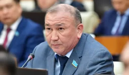 Мажилисмен просит госаудит опубликовать результаты проверок за последние годы