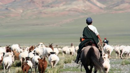 Казахские чабаны из Китая не хотят мигрировать на историческую родину