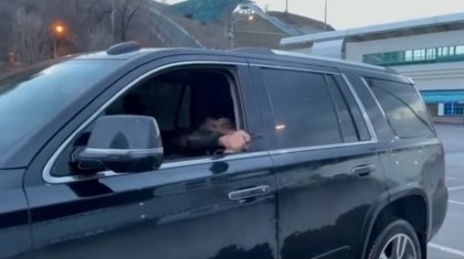 "Перестрелка" парковщика и водителя снята на видео в Алматы