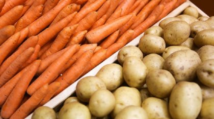 Ждите спекуляций: костанайцы покупают картофель и морковь в ограниченных количествах