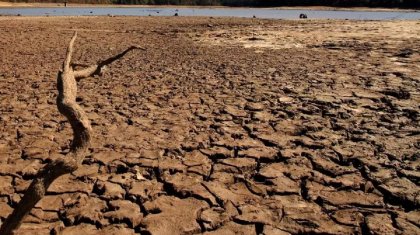 Засуха ожидается в нескольких регионах Казахстана в августе
