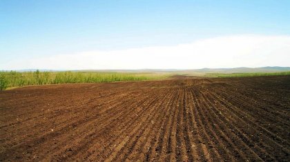 60 тысяч гектаров пастбищных угодий возвращены государству в Жамбылской области
