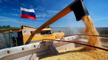 Раскрыта схема серого импорта российского зерна