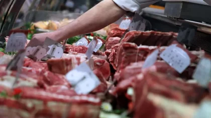Мясо, зараженное сибирской язвой, продавали в Жамбылской области