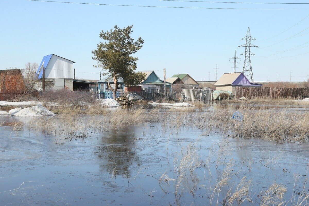 Гу отдел архитектуры и градостроительства акимата города костаная