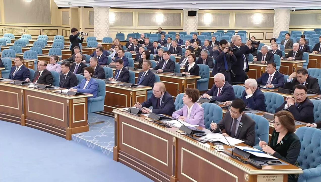 Мажилис принял в первом чтении закон о президенте и вице-президенте