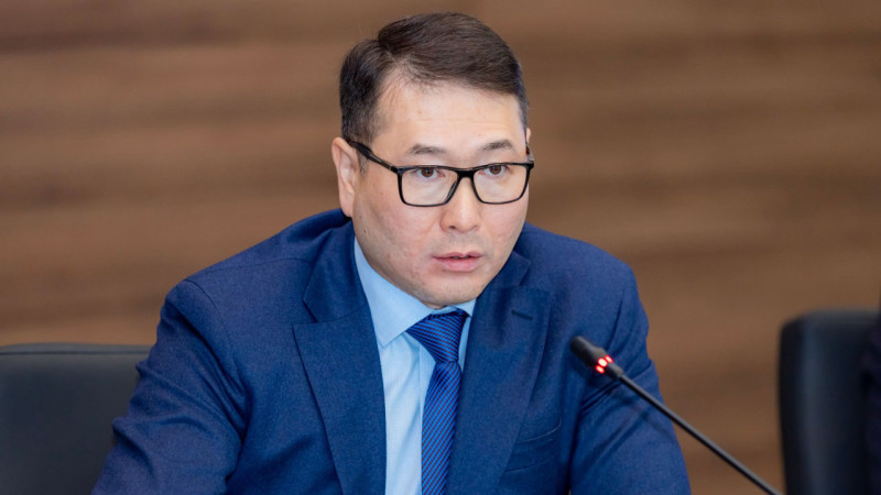 Министр торговли призвал казахстанцев выбирать отечественные маркетплейсы вместо Wildberries
