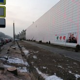 «Вопиющий факт»: Сагинтаев прокомментировал вырубку деревьев