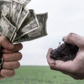Чиновники незаконно предоставляли земли в Абайской области