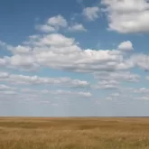 Неиспользуемые сельхозземли возвращают в госсобственность в Алматинской области