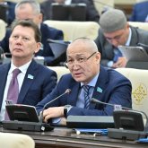 Как казахстанские депутаты поступят с бродячими собаками