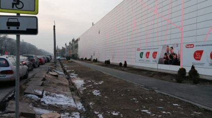 «Вопиющий факт»: Сагинтаев прокомментировал вырубку деревьев