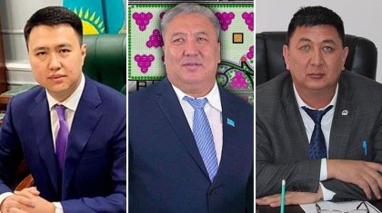 Семейный подряд депутата. Кто на самом деле хозяйничает в ВКО