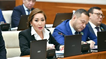 Мажилисмены – о необходимости развития Улытау: Недовольство населения растет