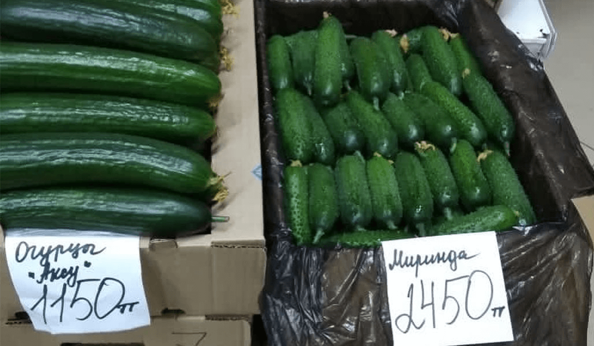 «Огурцы дороже мяса»: замакима Павлодарской области прошелся по магазинам