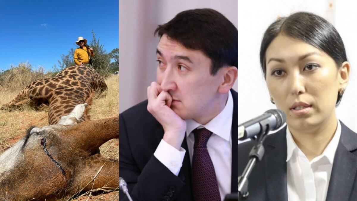 Дилетантские суждения: общественники возмутились реакцией минэкологии на охоту казахстанцев в Африке