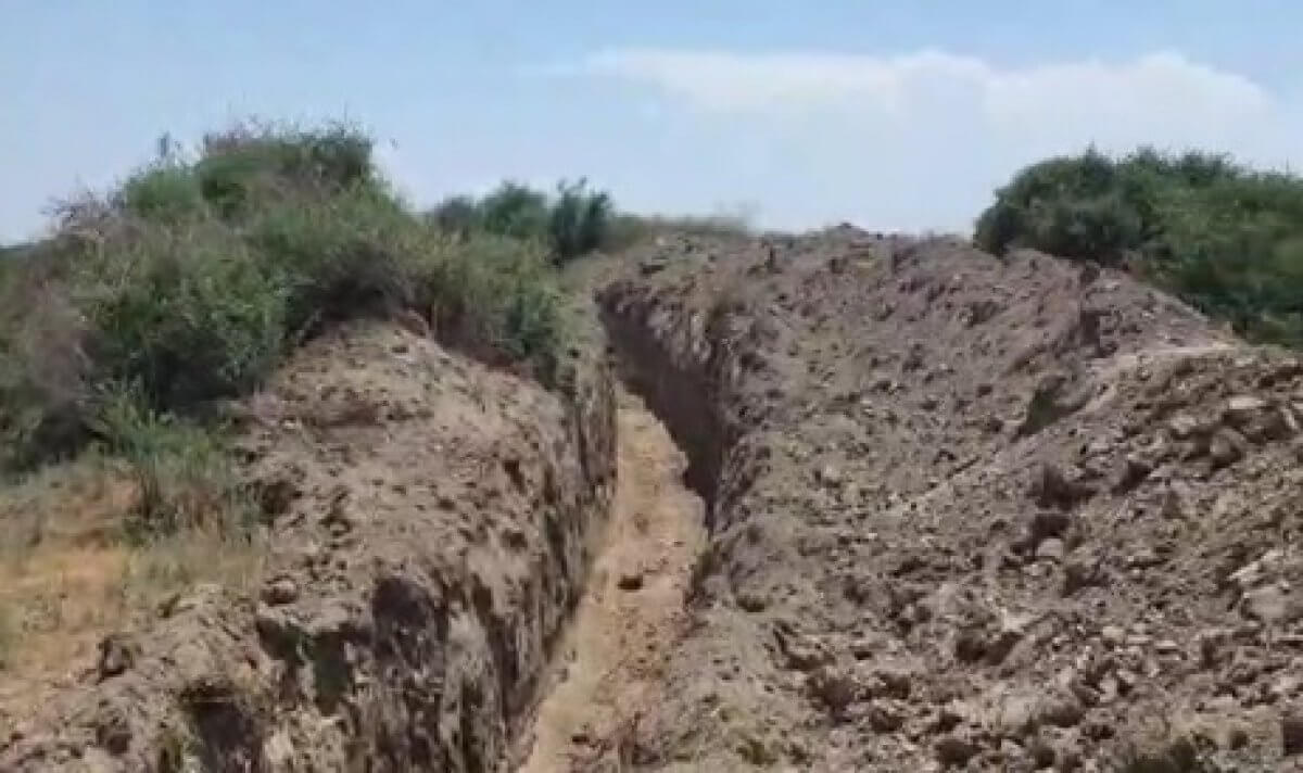 Сотни животных погибли в вырытых траншеях в Туркестанской области