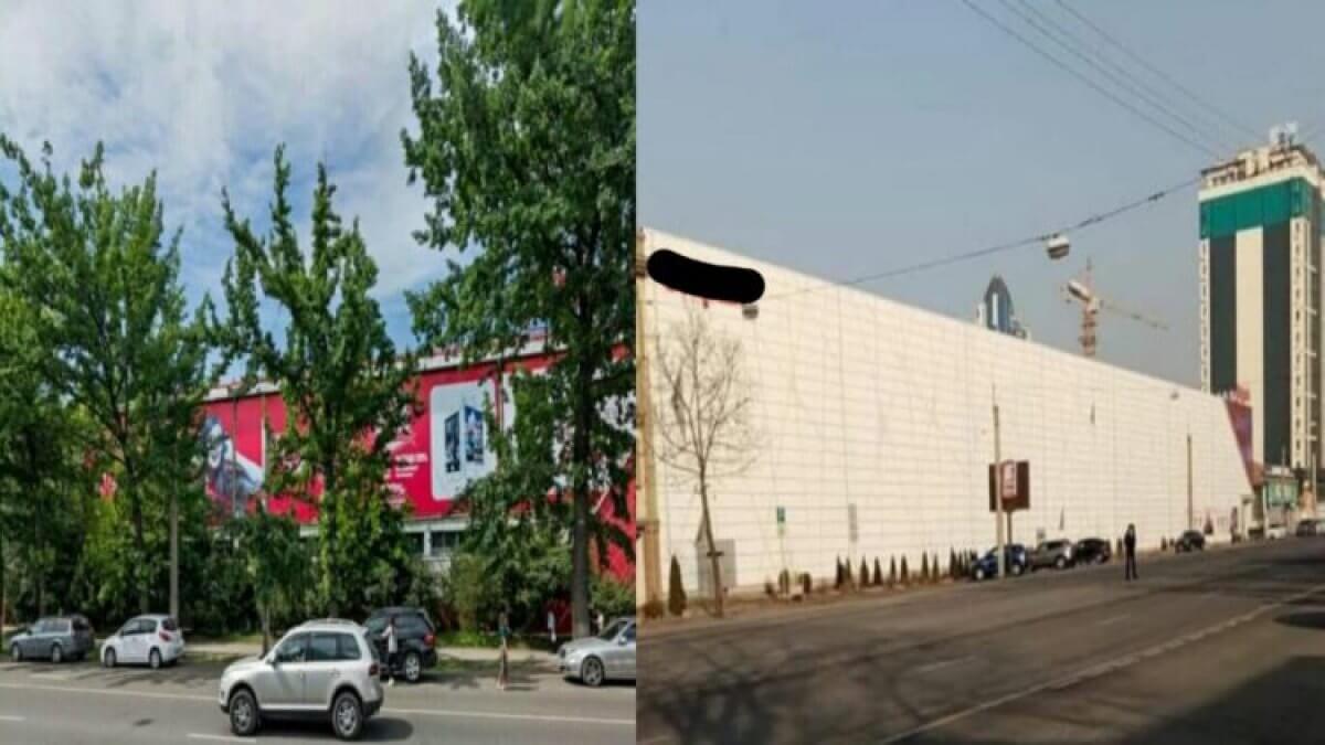Чем закончилось дело об уничтожении деревьев у магазина Sulpak в Алматы