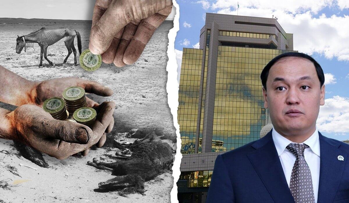 «Карашукеев – не профессионал!». Минсельхоз обвинили в сокрытии опасной болезни