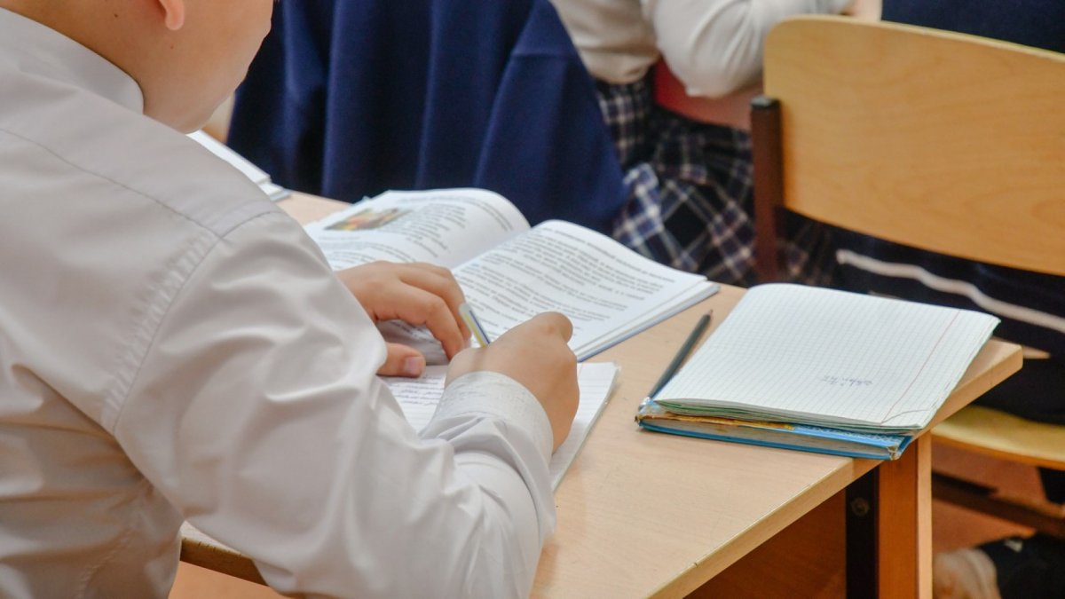 Какие новшества предлагается внедрить в школьные программы уже с 2024 года?
