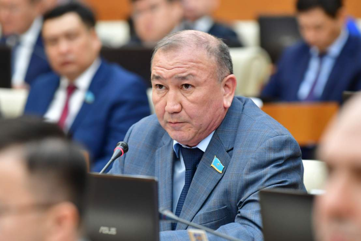 Ужесточить наказание для дропперов требуют мажилисмены
